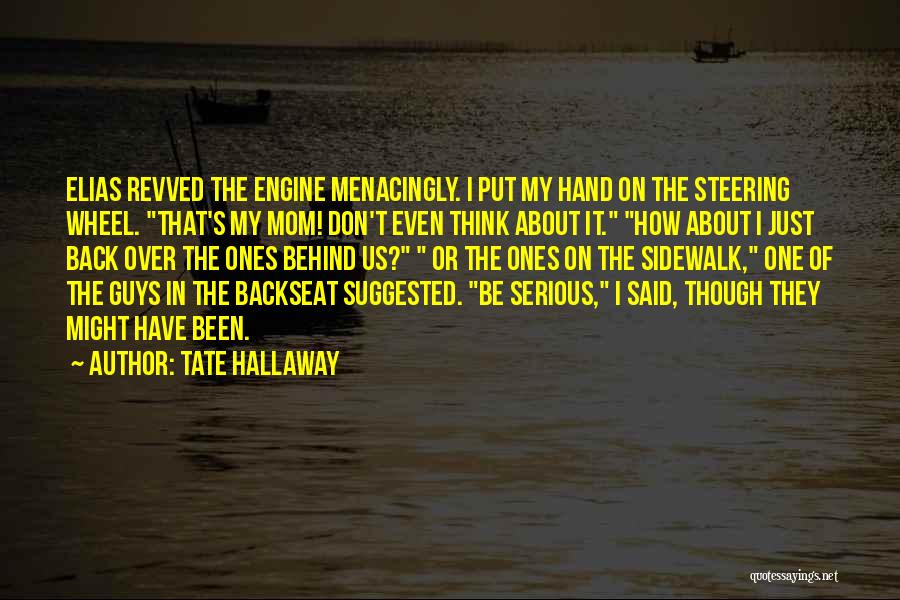 Serious Guys Quotes By Tate Hallaway