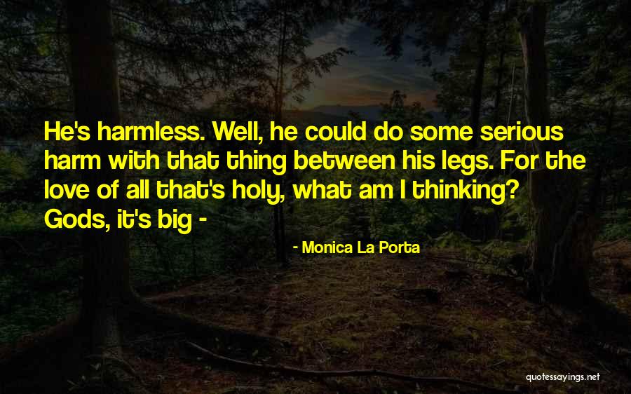 Serious Harm Quotes By Monica La Porta Serious Harm Quotes By Monica La Porta
