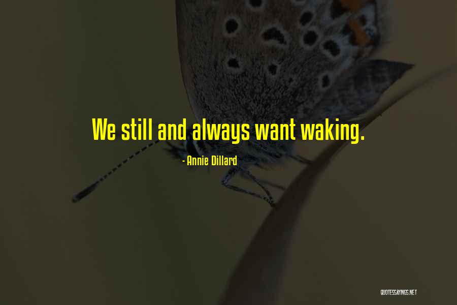 Serments De Mariage Quotes By Annie Dillard Serments De Mariage Quotes By Annie Dillard