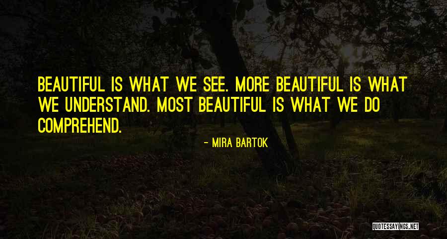 Serodino Incorporated Quotes By Mira Bartok Serodino Incorporated Quotes By Mira Bartok