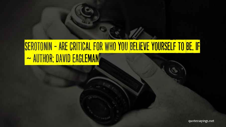Serotonin Quotes By David Eagleman