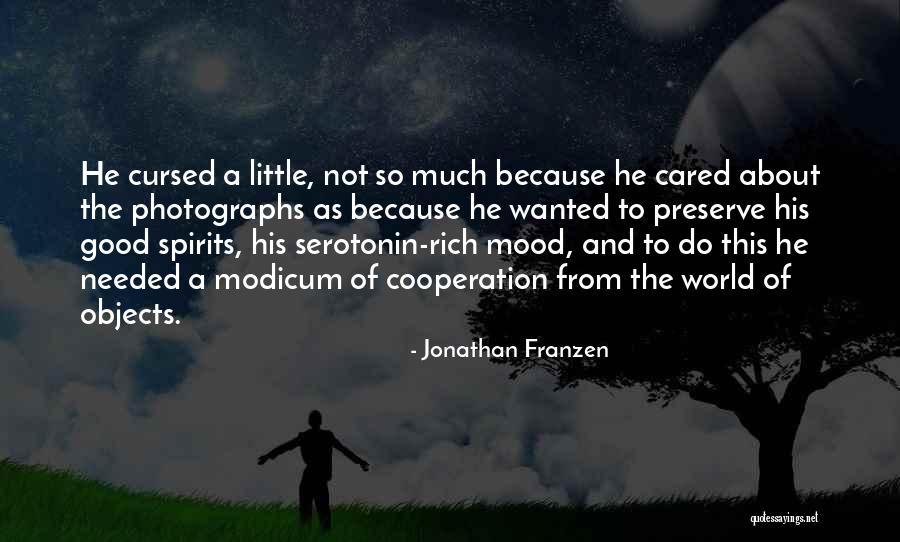 Serotonin Quotes By Jonathan Franzen