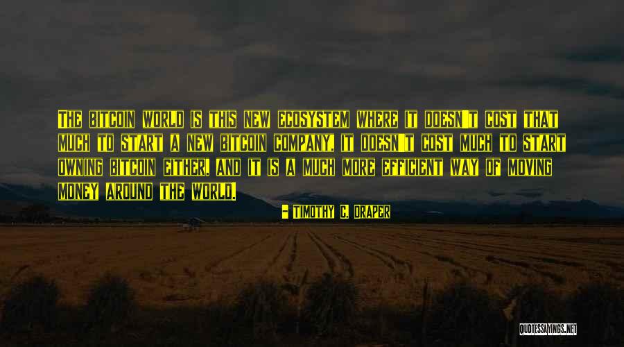 Serpilli Re Microfibre Quotes By Timothy C. Draper Serpilli Re Microfibre Quotes By Timothy C. Draper