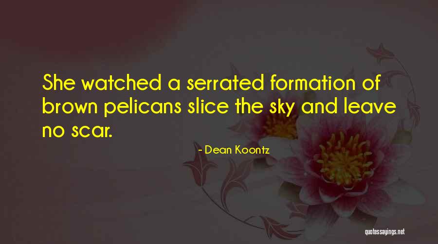 Serrated Quotes By Dean Koontz Serrated Quotes By Dean Koontz