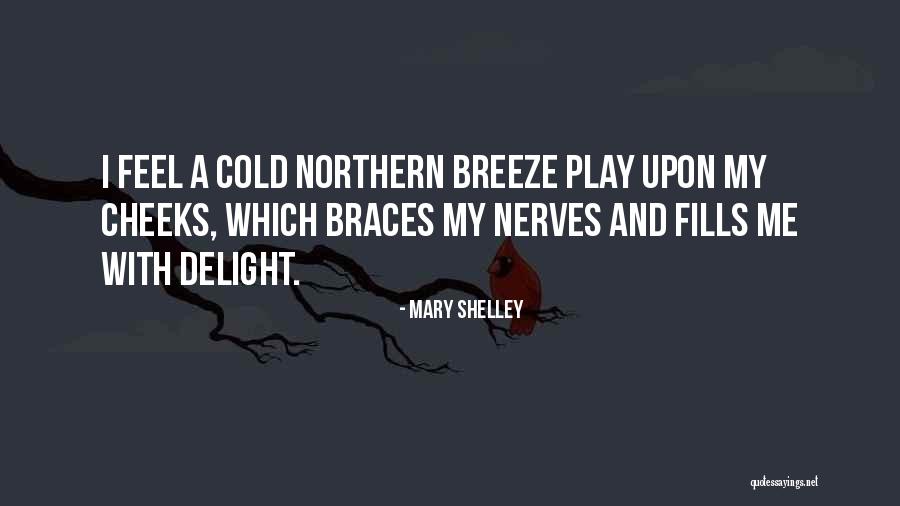 Serrature Per Armadi Quotes By Mary Shelley Serrature Per Armadi Quotes By Mary Shelley