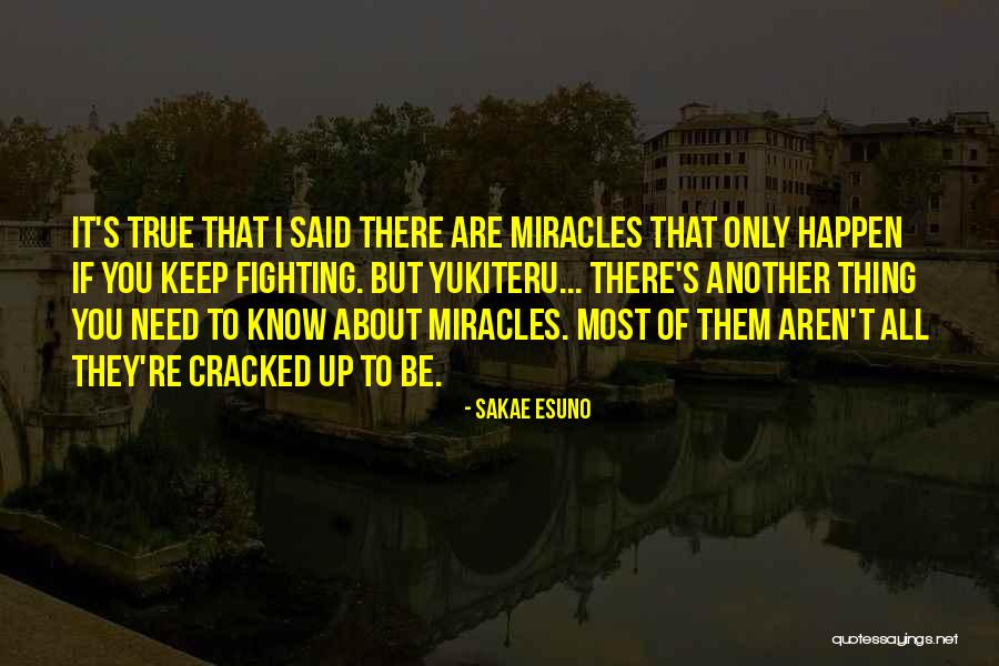 Serruys Rouwberichten Quotes By Sakae Esuno Serruys Rouwberichten Quotes By Sakae Esuno