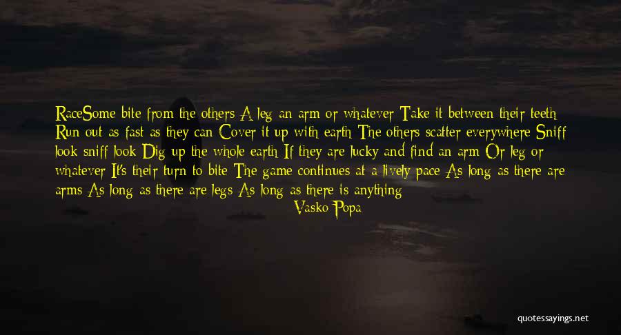 Sershon Coat Quotes By Vasko Popa Sershon Coat Quotes By Vasko Popa