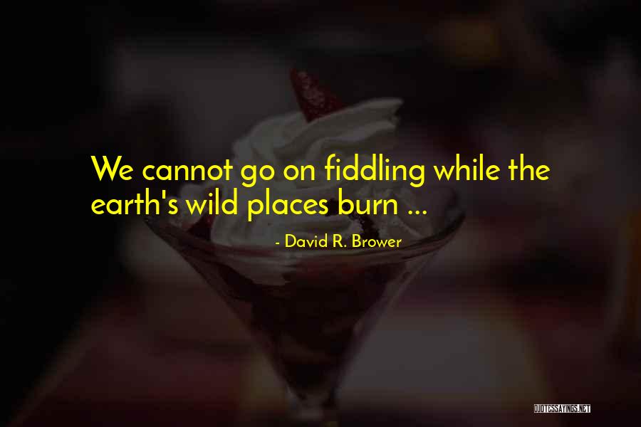 Seruan Gubernur Quotes By David R. Brower Seruan Gubernur Quotes By David R. Brower