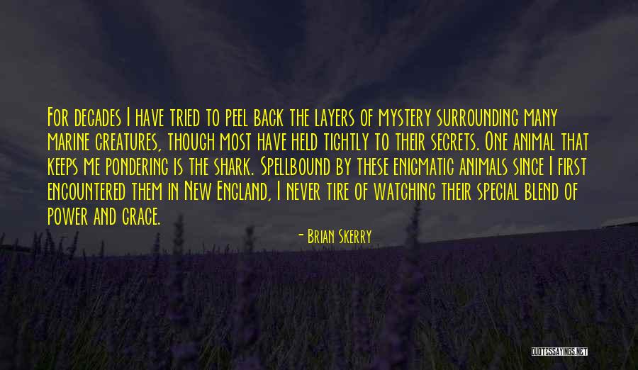 Servante Ecarlate Quotes By Brian Skerry Servante Ecarlate Quotes By Brian Skerry