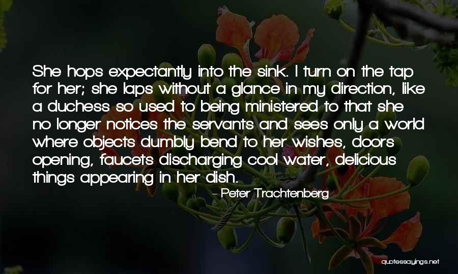 Servants Quotes By Peter Trachtenberg Servants Quotes By Peter Trachtenberg