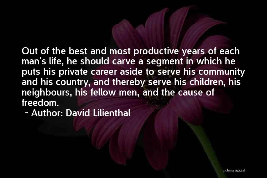 Serve Country Quotes By David Lilienthal
