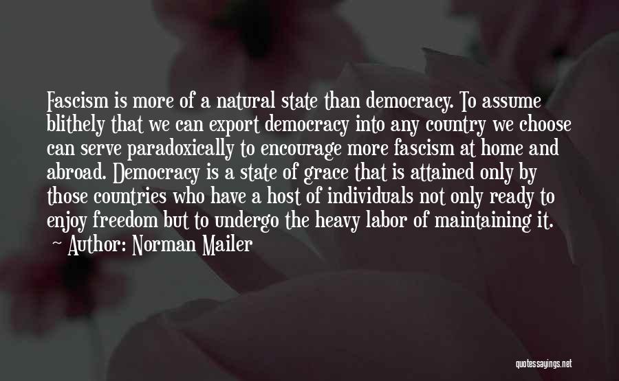 Serve Country Quotes By Norman Mailer