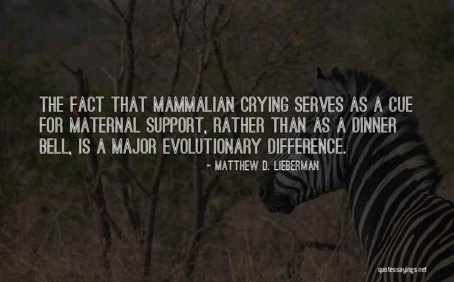 Serves As Quotes By Matthew D. Lieberman Serves As Quotes By Matthew D. Lieberman
