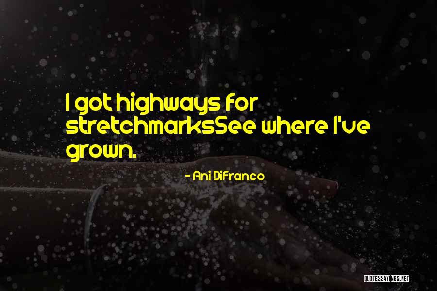 Servescon Quotes By Ani DiFranco