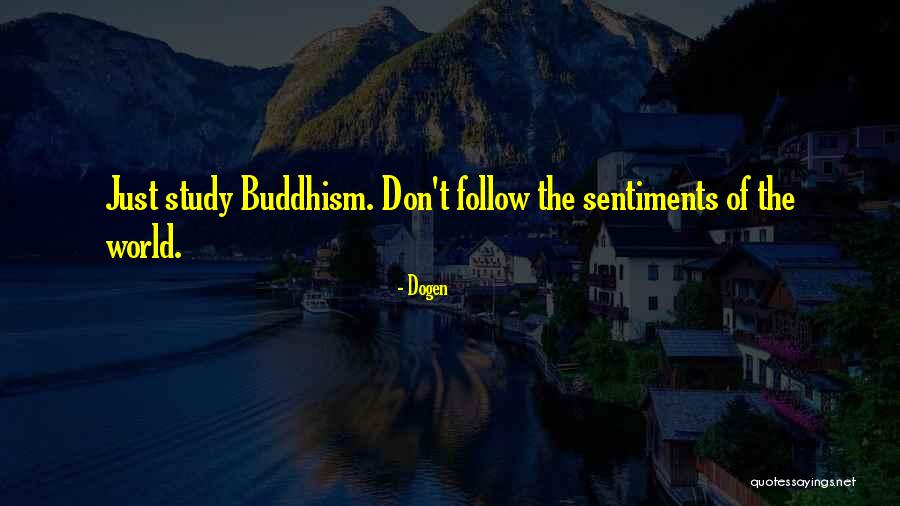 Serviam Girls Quotes By Dogen Serviam Girls Quotes By Dogen