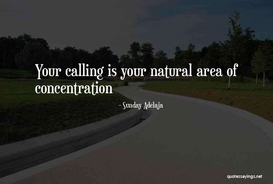 Service Area Quotes By Sunday Adelaja Service Area Quotes By Sunday Adelaja