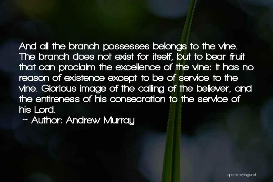 Service Excellence Quotes By Andrew Murray