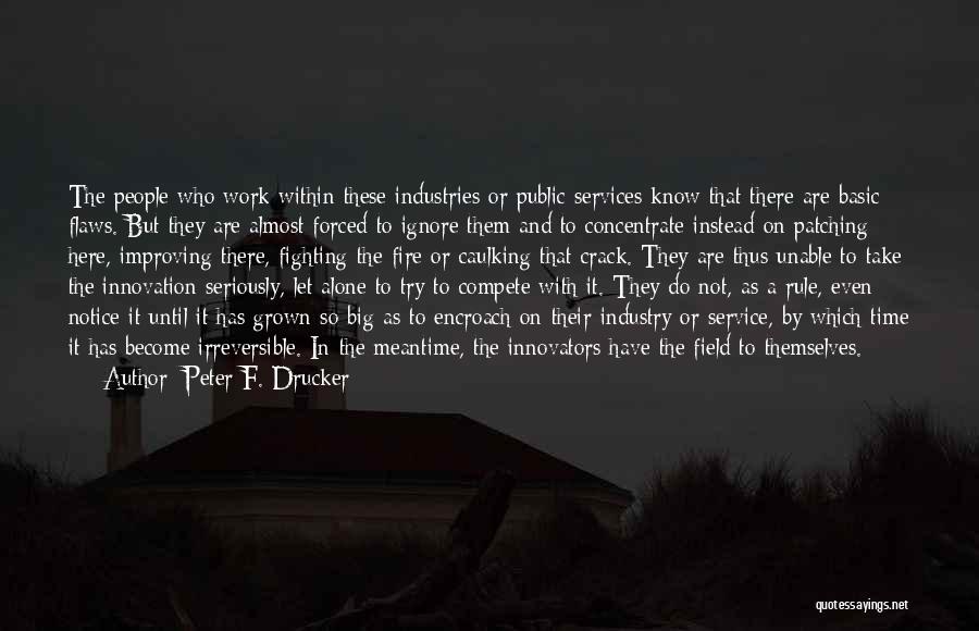 Service Industry Quotes By Peter F. Drucker