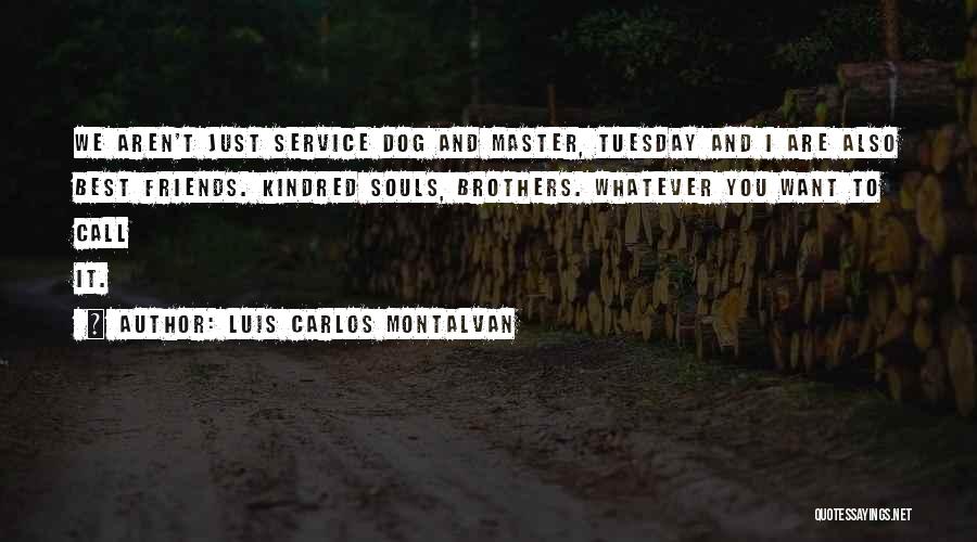 Service Master Quotes By Luis Carlos Montalvan