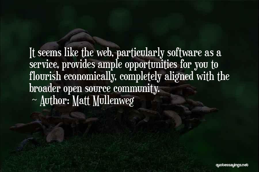 Service To The Community Quotes By Matt Mullenweg