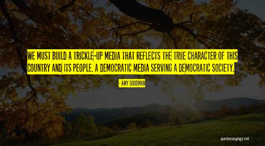 Serving Society Quotes By Amy Goodman Serving Society Quotes By Amy Goodman