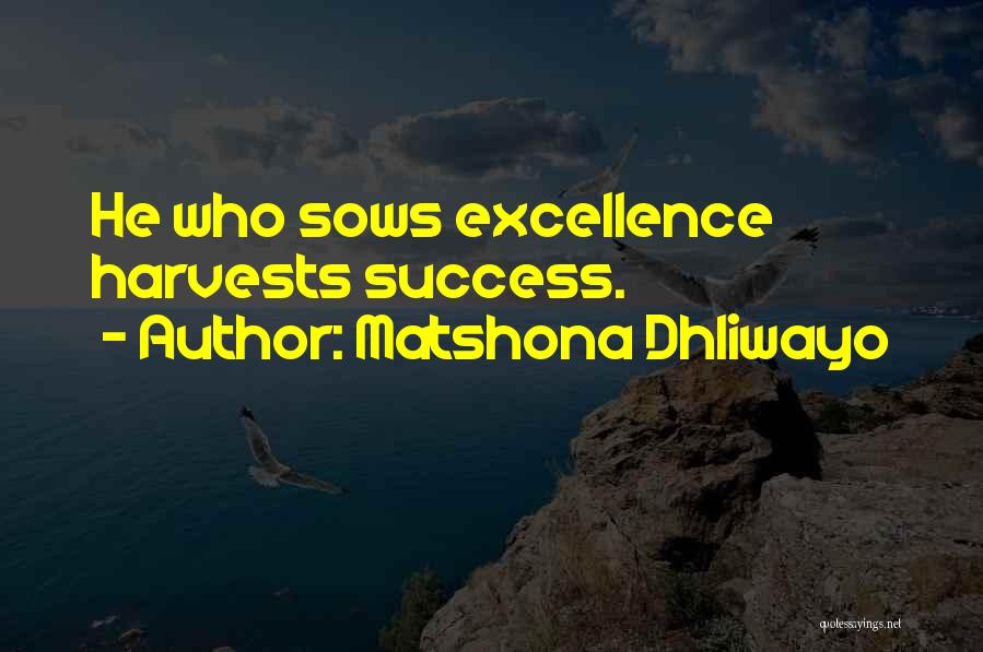 Serviss Ganibu Quotes By Matshona Dhliwayo