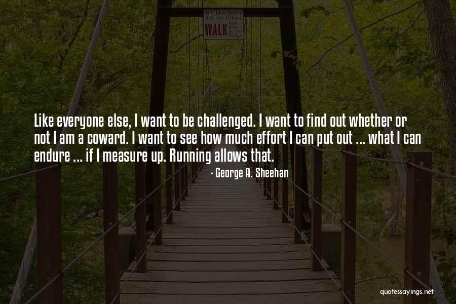 Sessou Amitchihoue Quotes By George A. Sheehan Sessou Amitchihoue Quotes By George A. Sheehan