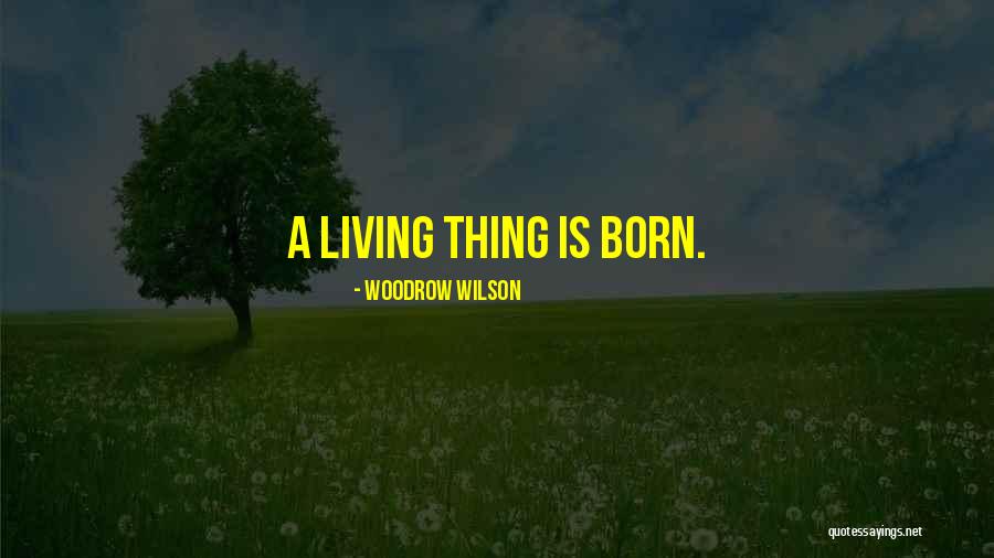 Sessou Amitchihoue Quotes By Woodrow Wilson Sessou Amitchihoue Quotes By Woodrow Wilson