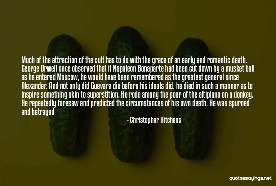 Set Something Free Quotes By Christopher Hitchens Set Something Free Quotes By Christopher Hitchens