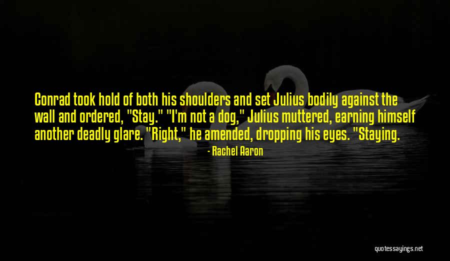 Set The Quotes By Rachel Aaron Set The Quotes By Rachel Aaron