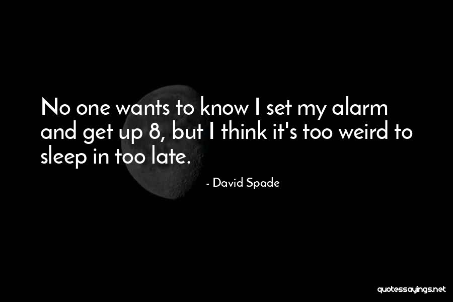 Set Up Quotes By David Spade