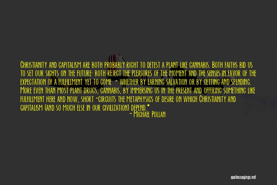 Set Your Sights Quotes By Michael Pollan Set Your Sights Quotes By Michael Pollan