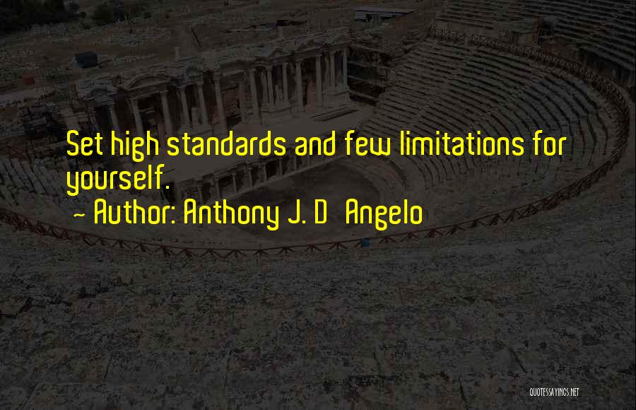 Set Your Standards High Quotes By Anthony J. D'Angelo