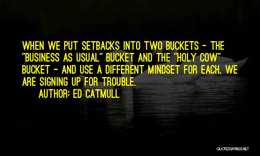 Setbacks Quotes By Ed Catmull