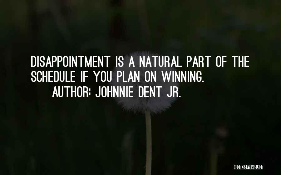 Setbacks Quotes By Johnnie Dent Jr.