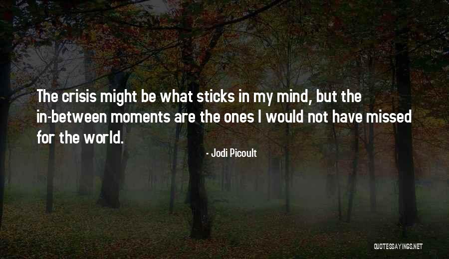 Setenay Tetik Quotes By Jodi Picoult Setenay Tetik Quotes By Jodi Picoult