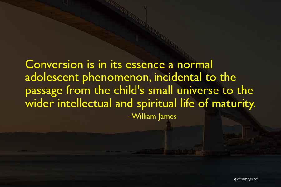Setenay Tetik Quotes By William James Setenay Tetik Quotes By William James