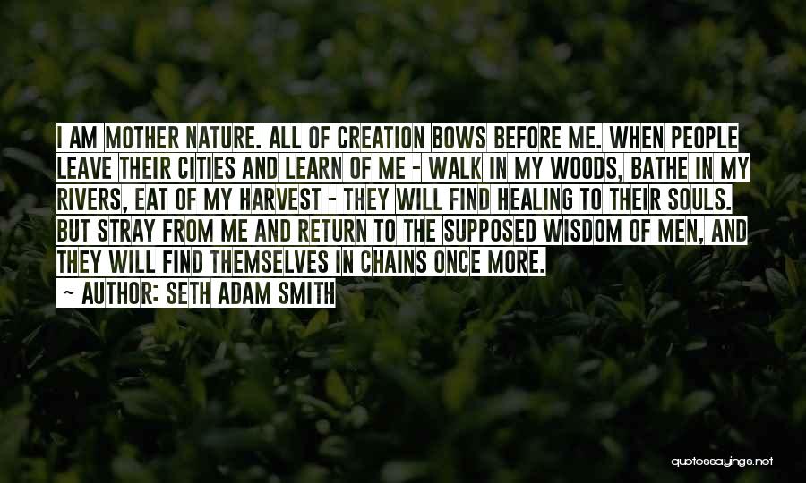 Seth Adam Smith Quotes 2216631