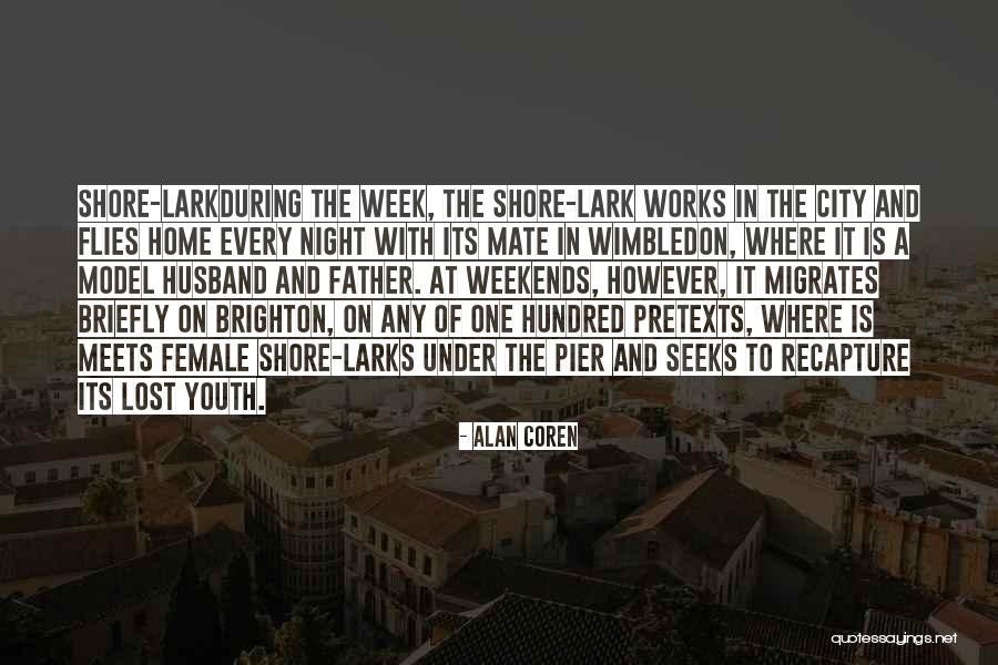 Seth Brundle Quotes By Alan Coren Seth Brundle Quotes By Alan Coren
