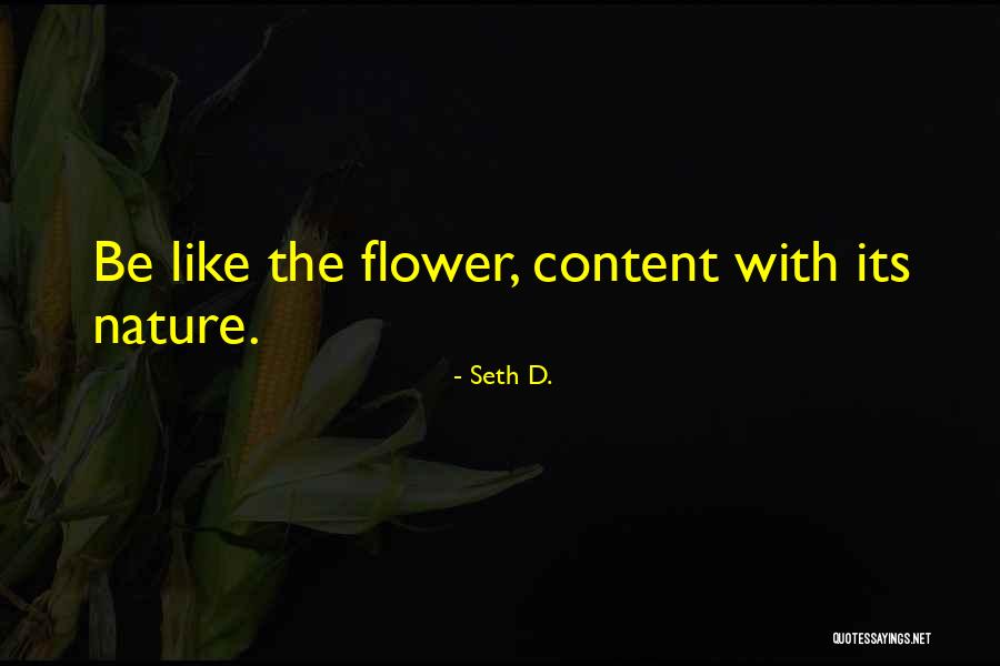 Seth D. Quotes 825779