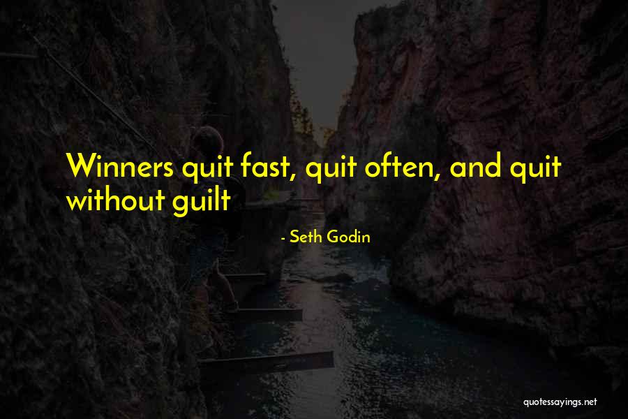 Seth Godin Life Quotes By Seth Godin