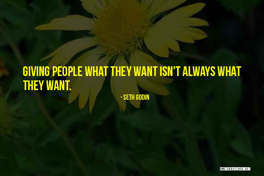 Seth Godin Quotes 900889