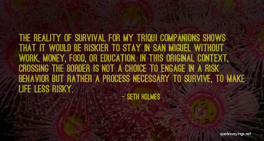 Seth Holmes Quotes 1884727