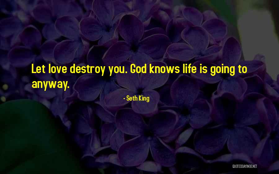 Seth King Quotes 240906