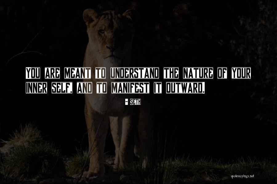 Seth Quotes 232086
