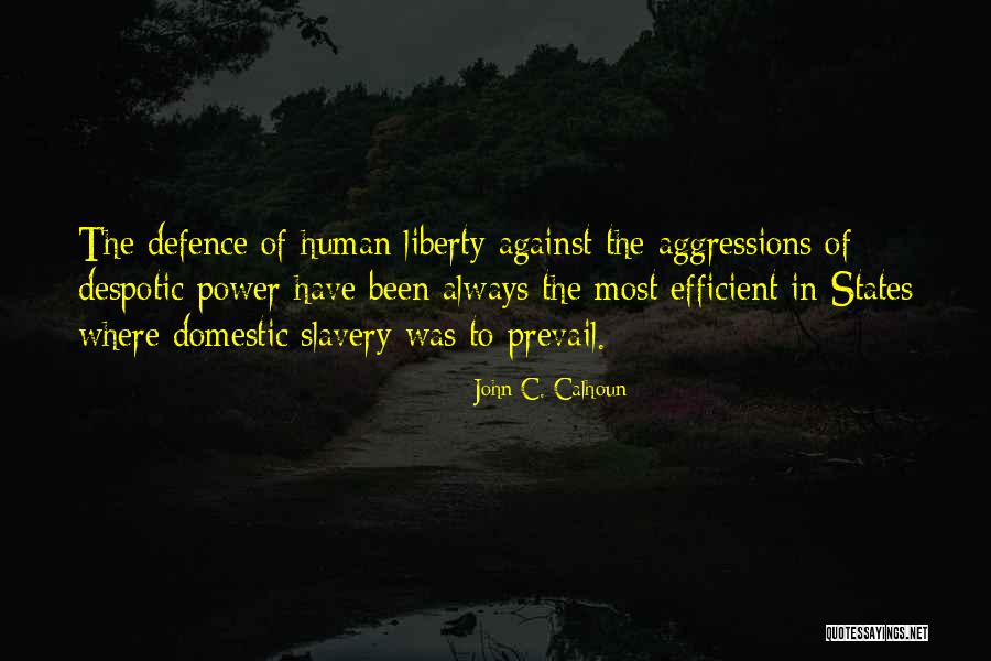 Seth Rydell Quotes By John C. Calhoun Seth Rydell Quotes By John C. Calhoun