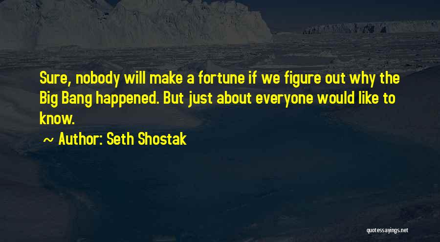 Seth Shostak Quotes 115078