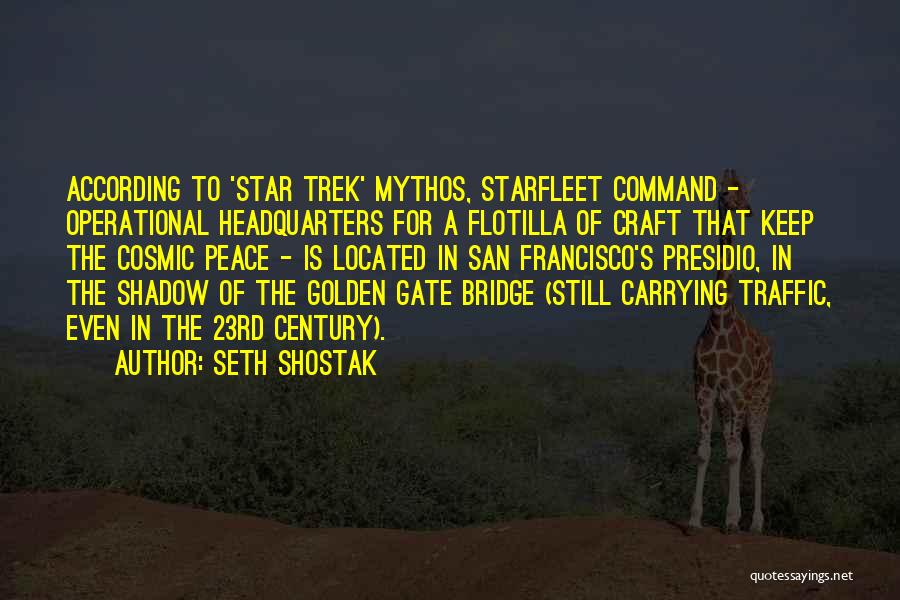 Seth Shostak Quotes 1781264