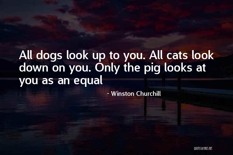 Setliff Virginia Quotes By Winston Churchill Setliff Virginia Quotes By Winston Churchill