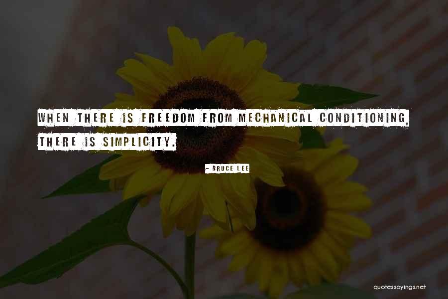 Settele Quotes By Bruce Lee Settele Quotes By Bruce Lee